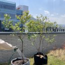 알파농장 이미지