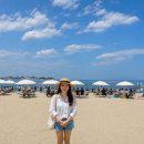주문진 - 동대문구 경희대로1길 11 | 주문진