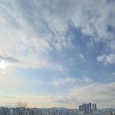매봉산 이미지