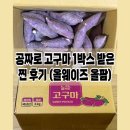 올웨이즈 올팜 작물 재배 게임하는 법 사용방법 고구마 공짜로 1박스 받은 찐후기