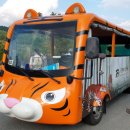 백두대간목재문화체험관 이미지