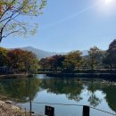 유명산밸리캠핑장 이미지