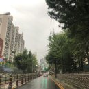 9 Nine PC 이미지