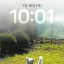 콘서트홀 | [2026 혼네 내한 콘서트 후기] 롯데콘서트홀 2층 A구역 5열 시야
