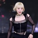 로하글로벌 이미지