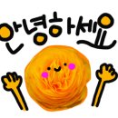 포니로드 이미지