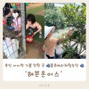 용인 아이랑 가볼 만한 곳 5살 아이랑 블루베리체험농장 헤븐온어스 다녀온 후기