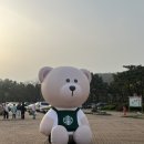 교촌치킨 인천SSG랜더스필드점 | 인천｜SSG 스타벅스데이 랜더스필드 라이브존 V5 후기