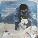 삼대 이미지