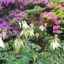 한농한의원 이미지