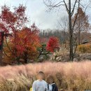 도척면 도웅리 269-1 | 11월 말 화담숲 단풍명소 늦은 단풍놀이 방문 후기