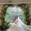 블랑호텔 강남점 | 베일드블랑 본식 후기 혼주 신랑신부 헤어메이크업 아이유 반묶음 신부 드레스 신랑 턱시도 후기