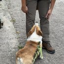 감천1동 행정복지센터 이미지