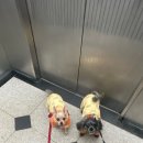 이쁜것들 이미지