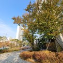 우리들 동물약품 | 약품으로 없어지지 않는 창틀 벌레 전문가가 제안하는 벌레 차단 시공