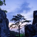 우포,가야산,홍류동계곡,해인사,산청 여행.7. 이미지