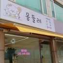 몽들레 | 강서구 강아지미용실 몽들레 우장산역 애견미용 잘하는곳