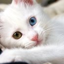 예쁜아이(eye)안경원 이미지