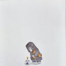 사자마트 - 부안군 | 사자마트