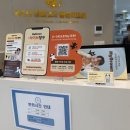 거창축협동물병원 | 마이브라운 반려동물 보호소 봉사활동과 펫보험으로 돌아본 보호자의 책임