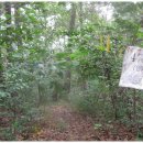 보련마을 이미지