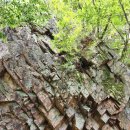 객현1리 이미지