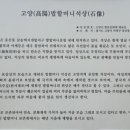 문씨네
