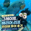 케언즈 그레이트 배리어 리프 투어 솔직후기 | 썬러버 무어 리프 스노클링·첫 스쿠버다이빙