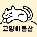 고양이동산 이미지