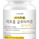 브이지에스 이미지