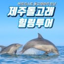 [제주] 돌고래힐링요트투어 무장애 여행 이미지