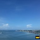 타이어 파크 이미지