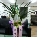 (주)에스비디