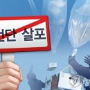 전단 이미지