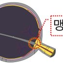 청주밝은안과의원 이미지