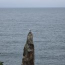 신동해바다 이미지