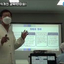 다미설
