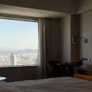 롯데정비 | 롯데호텔 월드 : 클럽라운지 패키지 후기 / 서울 호캉스 추천