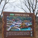 12/7/6/30서면역ㆍ옥천ㆍ서대산ㆍ장령산ㆍ장령산휴양림(해송산악회) 이미지