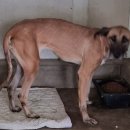 강원숯가마 이미지