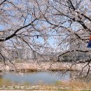 죽림옻칠공예 - 남원시 산책길 8 | 죽림옻칠공예