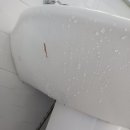 밝은청소 이미지