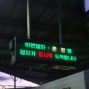 강촌스카이 | 2025 굿 러너 춘천 스카이 레이스 후기: 트레일 러닝