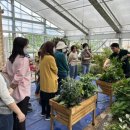 (봄맞이) 홈가드닝 이미지