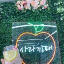 창꼬 더 카페 이미지