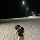 봉평해수욕장 | [봄,여름] 영덕 울진 아이와 가볼만한곳 죽변 봉평해수욕장 후기 느낀점