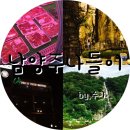 진접축산