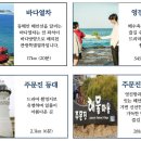 오션방역