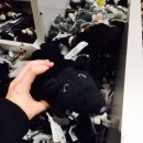 인형의 거리(쥐) 이미지