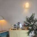 시랑이랑 이미지